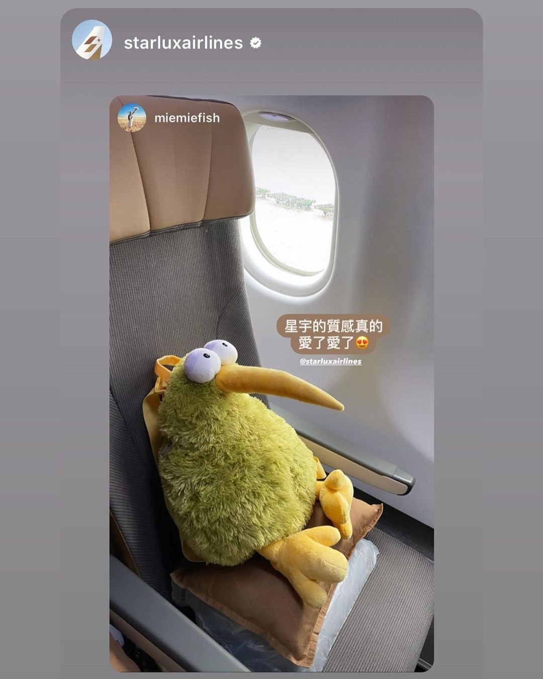 咩咩新加坡日記✈️星宇航空初體驗