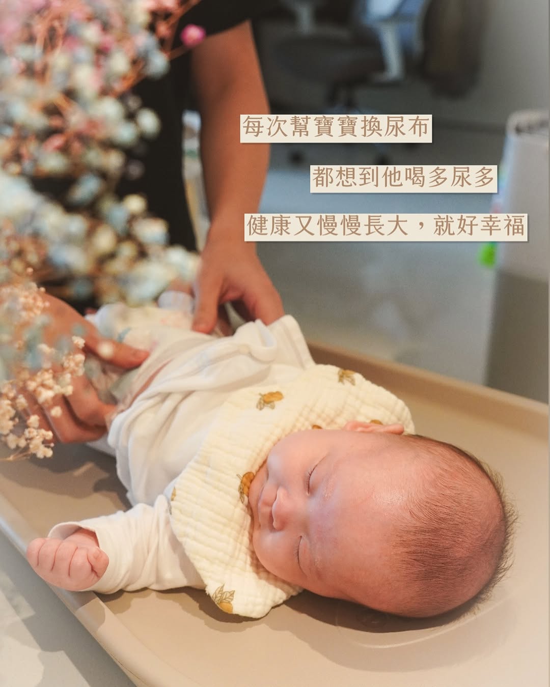 讓換尿布變成一件浪漫的事(？)Shnuggle 英倫美型育兒用品｜尿布墊、尿布桶