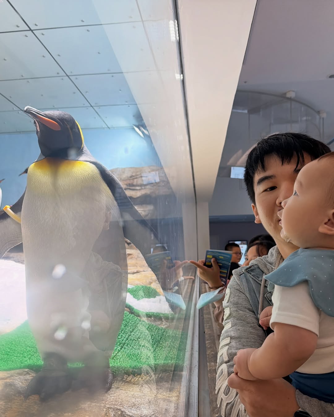 知恩寶寶1歲生日快樂? - 第9張圖 知恩寶寶1歲生日快樂?