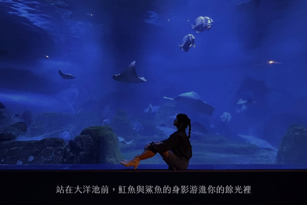 帶一歲寶寶環島大成功（上集）