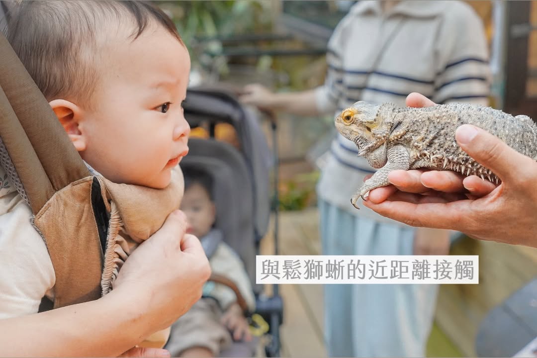 帶一歲寶寶環島大成功（下集）?