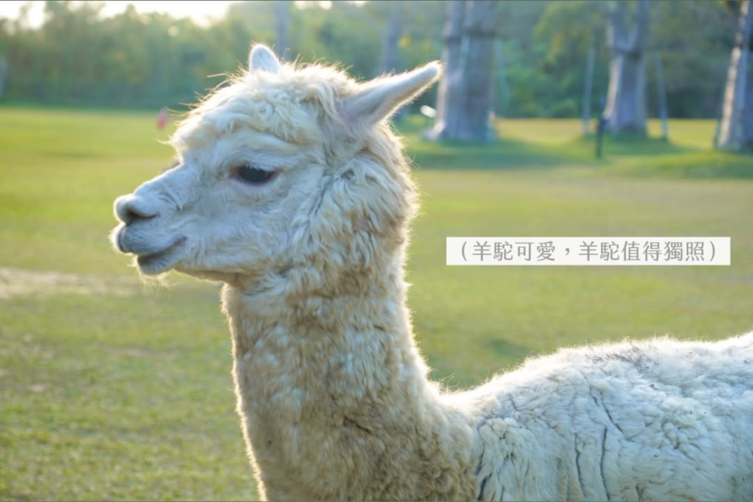 帶一歲寶寶環島大成功（下集）?