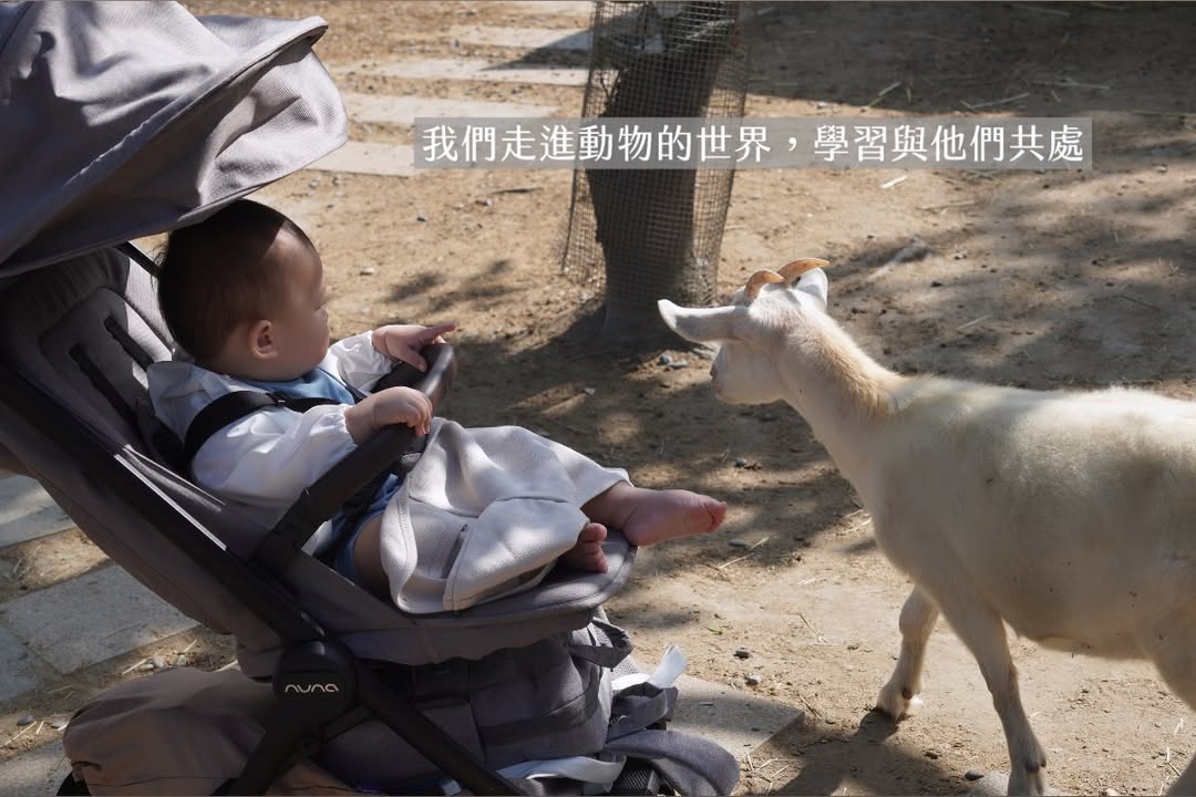 帶一歲寶寶環島大成功（下集）?