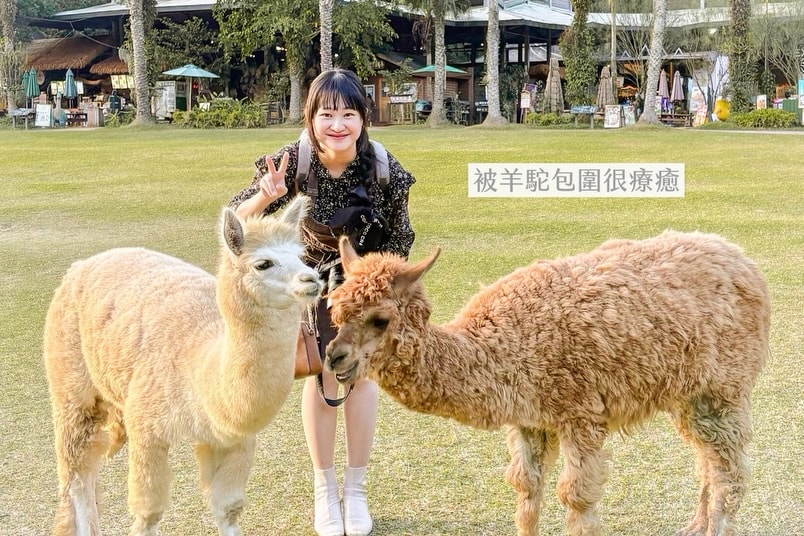 帶一歲寶寶環島大成功（下集）?